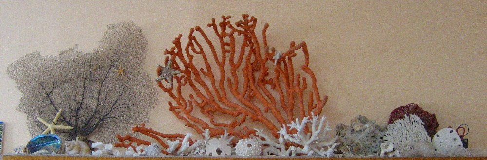 coral1